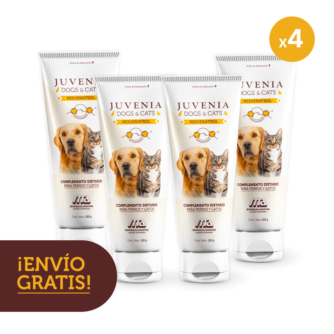 4x JUVENIA DOGS&CATS POMO DE 150GR